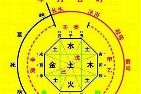 喜木命|八字喜木是什么意思